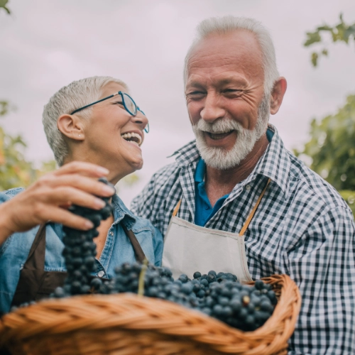 Misconceptions about Hearing Loss
